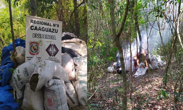 Caaguazú; Destruyen 3 mil kilogramos de marihuana – Prensa 5