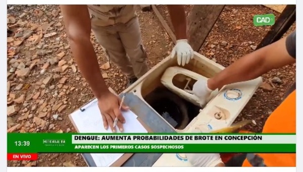 Dengue: Aumenta probabilidades de brote en Concepción