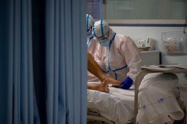 Salud reportó 11 muertes y 733 nuevos contagios de COVID-19 - Nacionales - ABC Color
