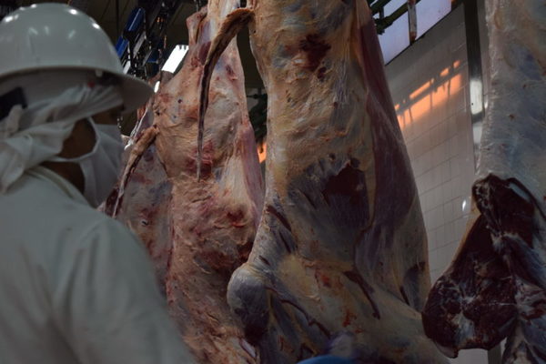 Paraguay mejora 19,5% su posición anual en Chile como proveedor de carne bovina
