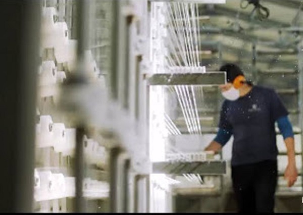 La pandemia, crisis y oportunidad para la industria textil nacional