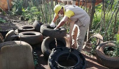 El subregistro arroja al menos 120.000 casos de dengue en el país, dice Senepa - Nacionales - ABC Color