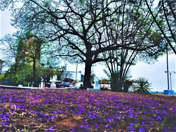 Se espera una jornada muy calurosa con lluvias y tormentas