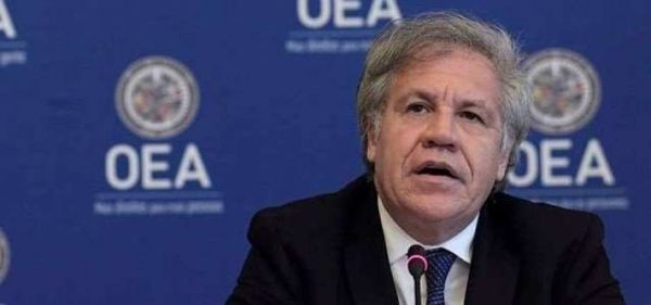 OEA dice que pidió a Evo no renunciar, pero el expresidente prefirió huir