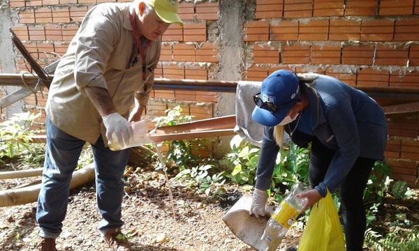 Tras lluvias se debe combatir al Dengue