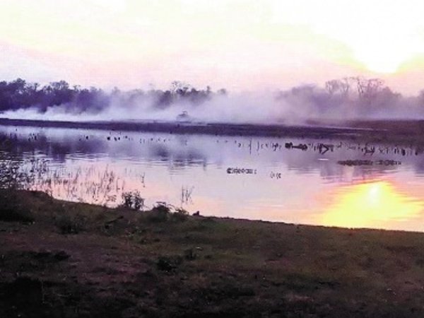 Todo un barrio con vómito y diarrea a causa de fumigación