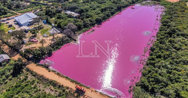 La Nación / Laguna Cerro: empresa deberá pagar multa y aplicar medidas de recuperación