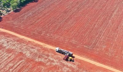 Los “pobres” invasores de Guahory - Nacionales - ABC Color