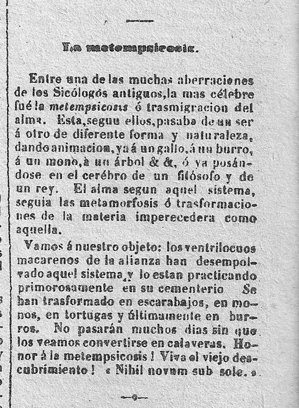 Para nacer de nuevo: la Guerra Guasu, las almas de las mariposas y la pandemia - Cultural - ABC Color