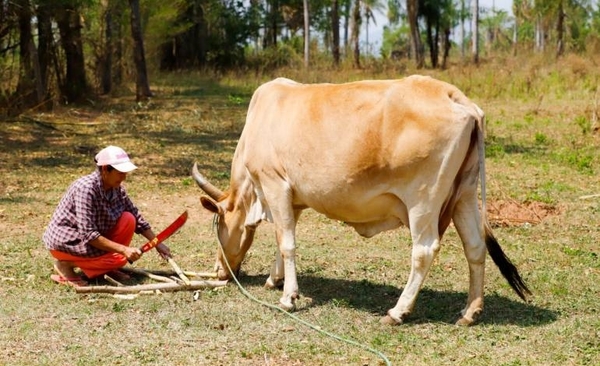 HOY / Reducir la pobreza en todas sus formas, la meta de Jajapo Paraguay