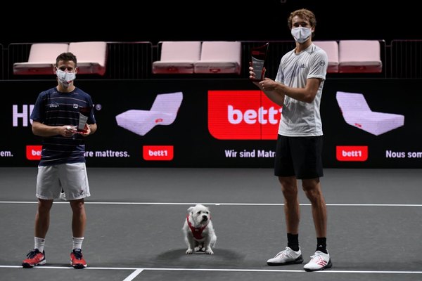 Schwartzman cae en la final del ATP de Colonia ante Zverev