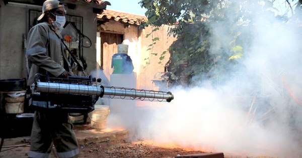 La Nación / Criaderos de mosquitos: en Asunción trabajan en la destrucción de semilleros