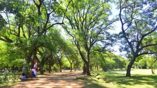 El Jardín Botánico reabrirá sus puertas desde este lunes - Megacadena — Últimas Noticias de Paraguay