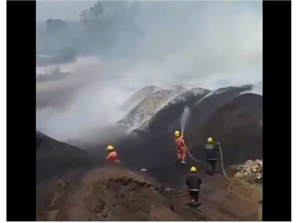 Bomberos controlan incendio en cocotera de San Roque