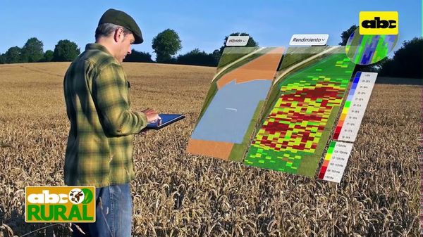 Abc Rural: Imágenes satelitales para toma de decisiones en agricultura - ABC Rural - ABC Color