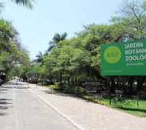 Reabrirán el Jardín Botánico desde este lunes  - Paraguay.com