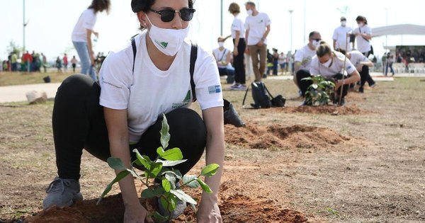 La Nación / Plantatón permitió sembrar 1.800 plantas