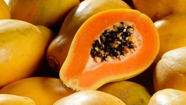 Cultivo de mamón, una alternativa de producción diversificada y rentable (es considerada una de las 8 frutas exóticas del planeta)