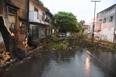 Temporal causa destrozos y deja sin electricidad a miles de usuarios - Nacionales - ABC Color