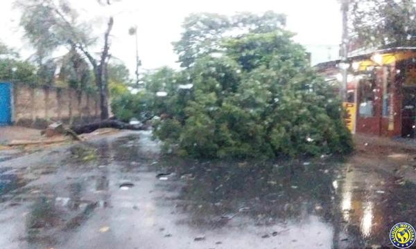 Tormenta: Vientos de casi 100 km/h en Luque •