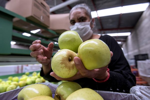 La actividad económica de México se desplomó 9,4 % anual en agosto - MarketData