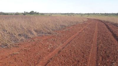 Comisión Verdad y Justicia: Millones de hectáreas de tierras malhabidas descubiertas y ninguna recuperada
