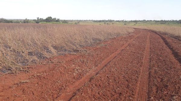 Comisión Verdad y Justicia: Millones de hectáreas de tierras malhabidas descubiertas y ninguna recuperada