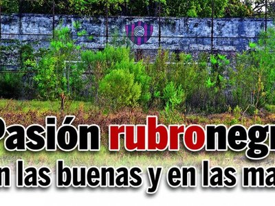 Pasión rubronegra,  en las buenas y en las malas