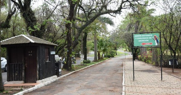 La Nación / El Botánico reabre sus puertas solo para caminatas y ejercicios físicos