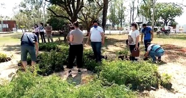 Plantatón se llevó a cabo en varios puntos de nuestro país