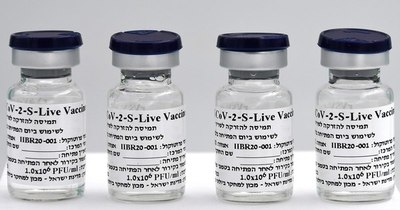 La Nación / Vacuna israelí contra el COVID-19 iniciará pruebas en seres humanos