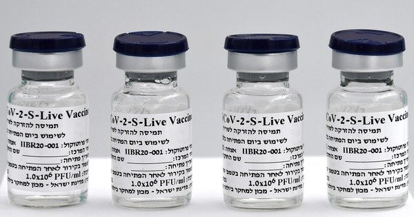 La Nación / Vacuna israelí contra el COVID-19 iniciará pruebas en seres humanos