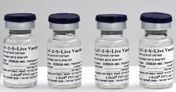 La Nación / Israel iniciará las pruebas de su vacuna en personas