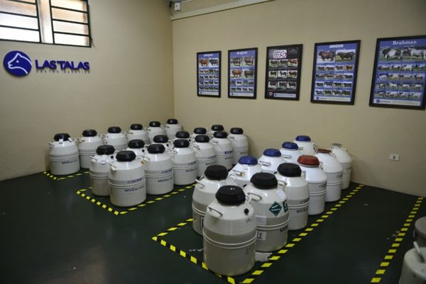 Las Talas vende el miércoles más de 60.000 dosis de semen y de 200 embriones
