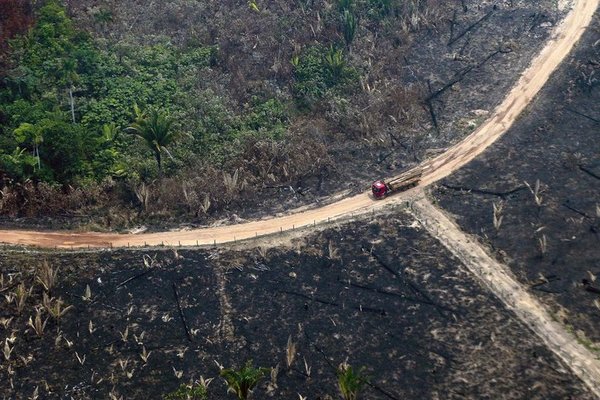 Brasil extenderá por otros cinco meses el despliegue de las Fuerzas Armadas en Amazonas » Ñanduti