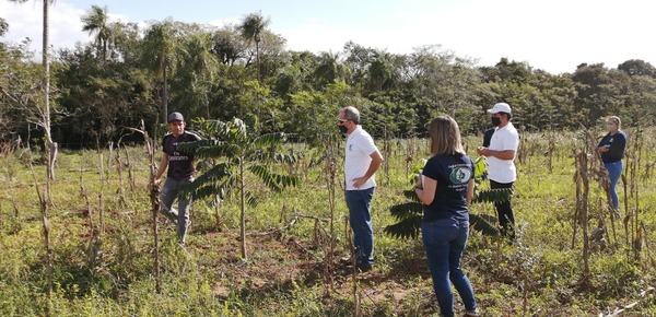 Proyecto “Ybytyruzú Respira” presentó sus resultados y experiencia de trabajo en el Guairá » Ñanduti