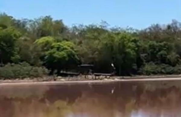 Laguna Cerro: Curtiembre opera pese a suspensión - C9N