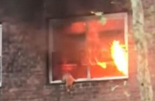 Captan el momento exacto en que un gato salta de un edificio en llamas en Nueva York - SNT
