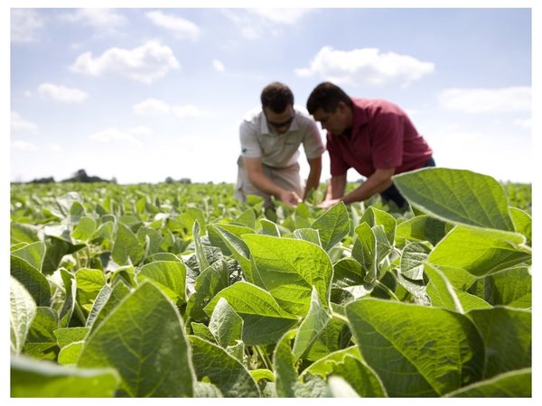 Contra plagas y enfermedades: Tecnomyl apuesta al manejo integral del campo