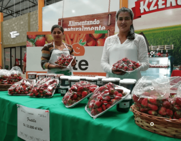 Apoyo crediticio a emprendedoras del campo