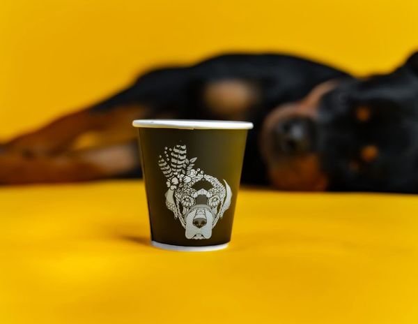 Un café permite la presencia de perros en Arabia Saudita - Mascotas - ABC Color