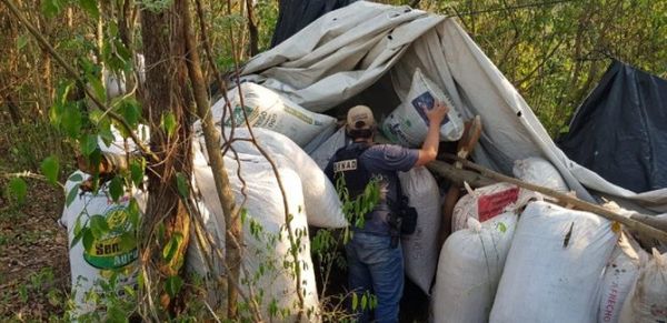 Proyecto que crea carrera de agente especial de la Senad será estudiado este jueves