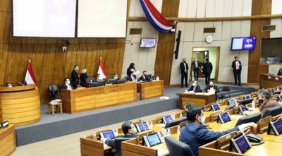 Ley de Insolvencia: diputados prometen buscar el beneficio de la ciudadanía