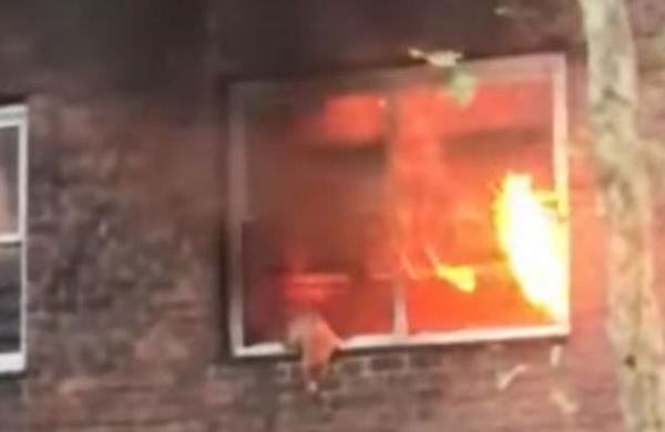 Captan el momento exacto en que un gato salta de un edificio en llamas en Nueva York - C9N