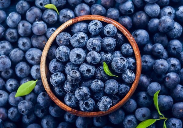 Arándanos, una bomba de vitaminas y antioxidantes - Estilo de vida - ABC Color
