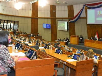 Diputados colorados acuerdan rechazar polémica ley de insolvencia