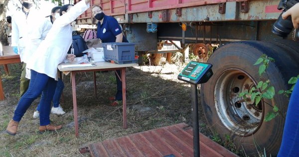 La Nación / Inician quema de histórica carga de 2.906 kilos de cocaína incautada