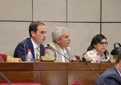 Patria Querida votará por la pérdida de investidura de Friedman y Zacarías