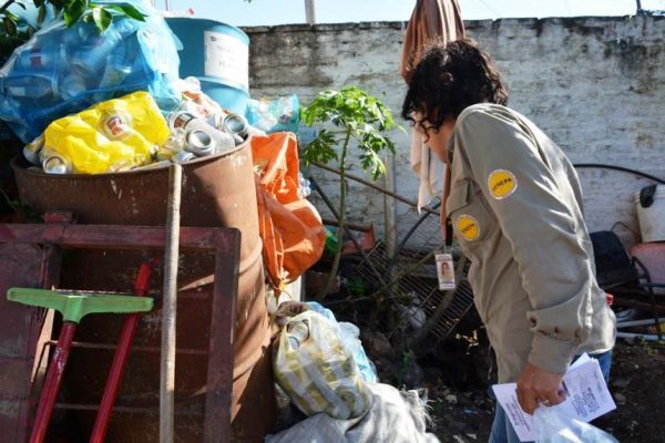 Hay que eliminar los criaderos para evitar epidemia de dengue, advierten