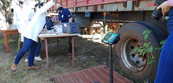 INICIAN QUEMA DE HISTÓRICA CARGA DE 2.906 KILOS DE COCAÍNA INCAUTADA